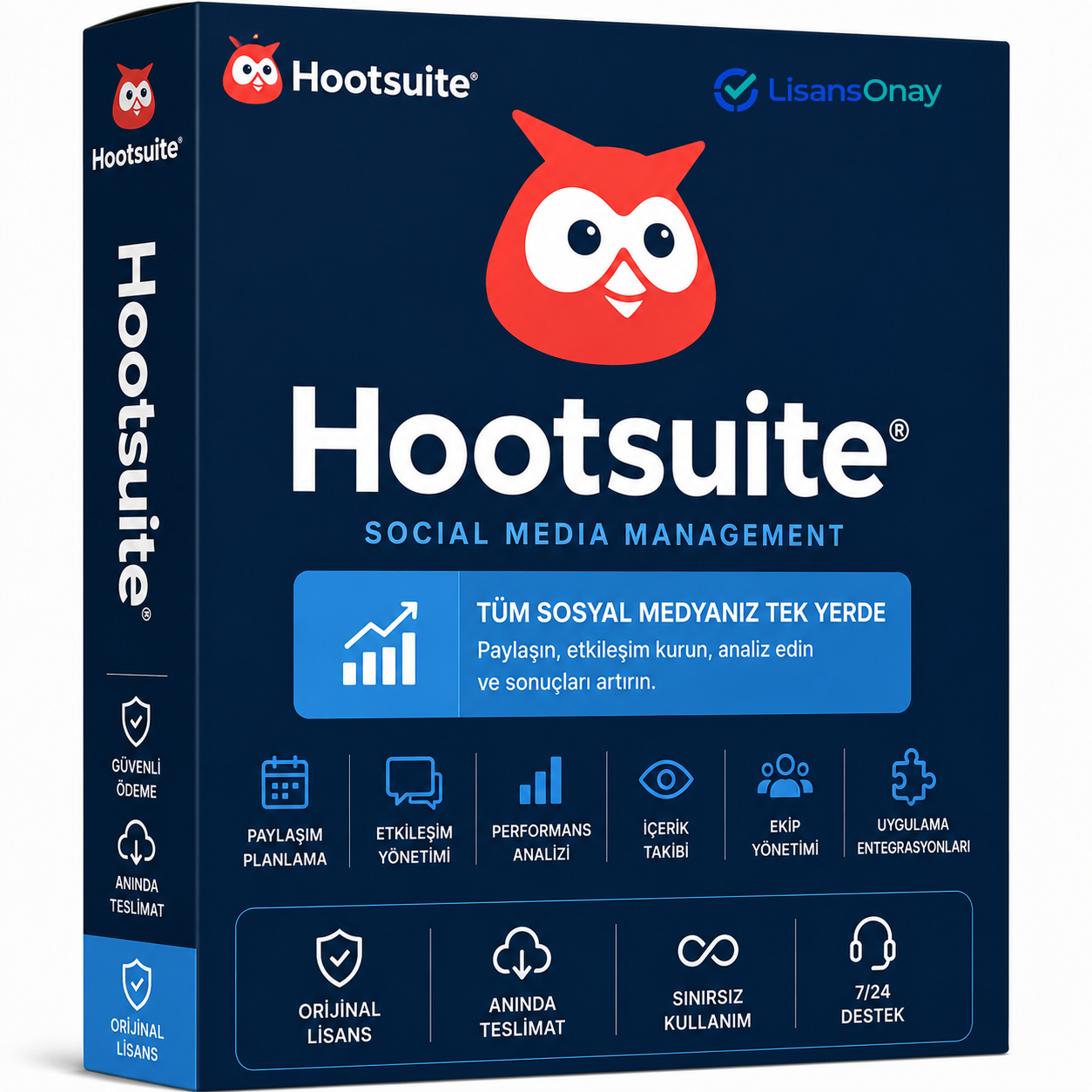 Hootsuite Profesyonel Abonelik Planı