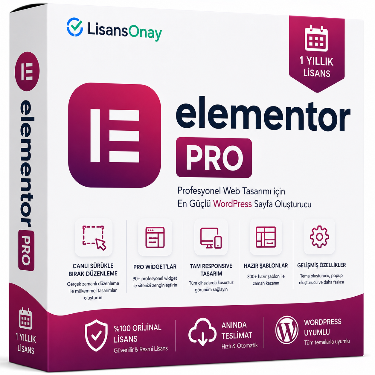 Elementor Pro WordPress Eklentisi Lisans Anahtarı